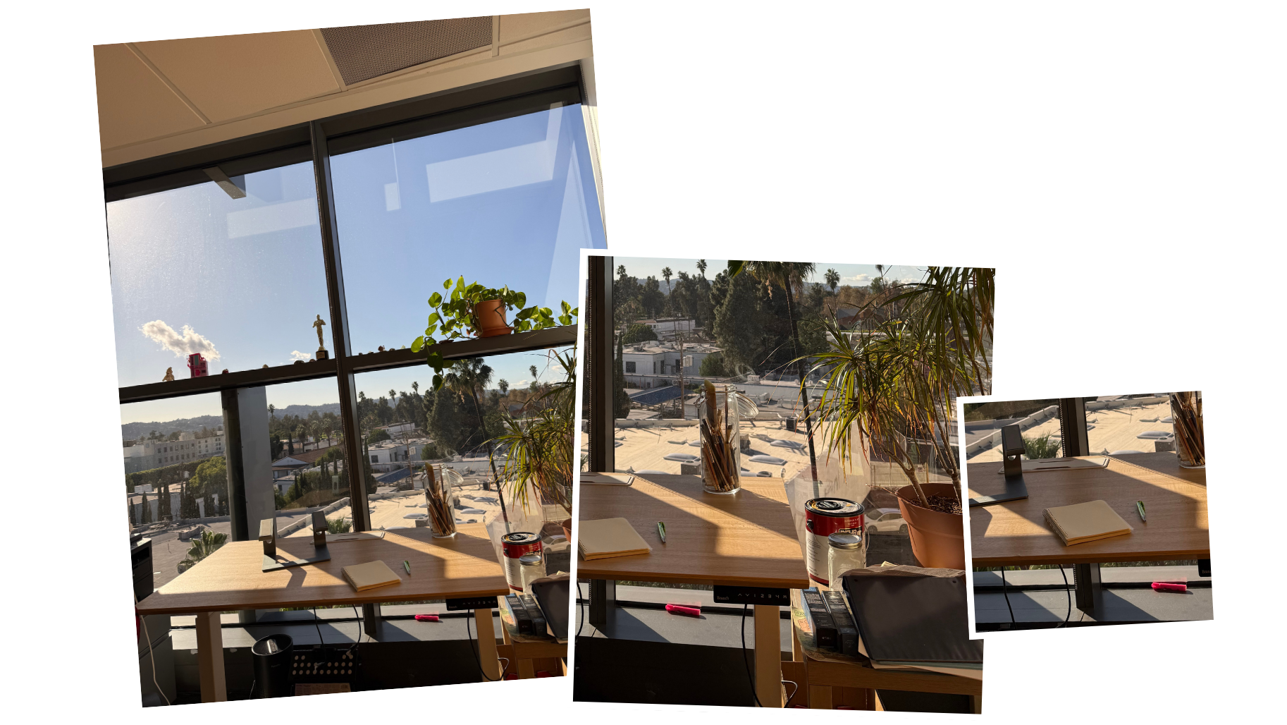 Leo's office in Los Angeles (Photos provided by the author)