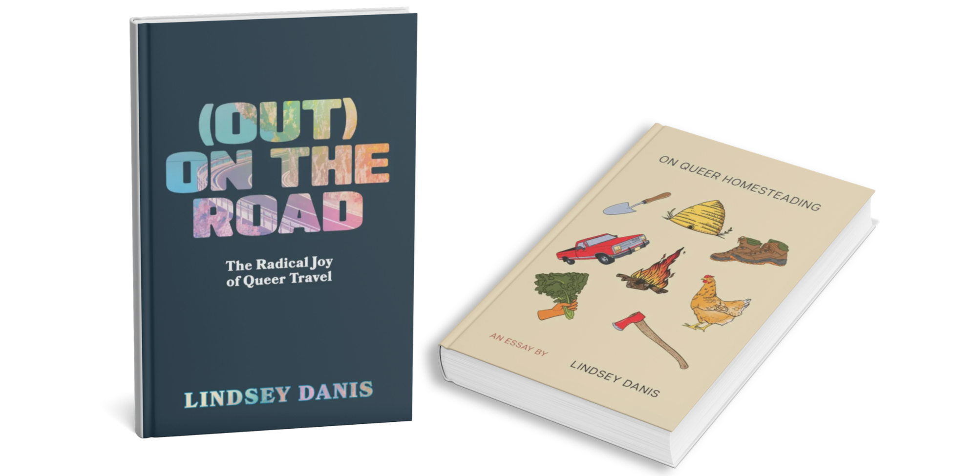 Books by Lindsey Danis